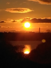 今月のフォトコーナー